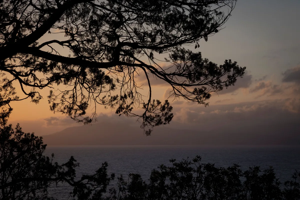Cosa vedere a Sestri Levante: un viaggio tra storia e bellezze naturali