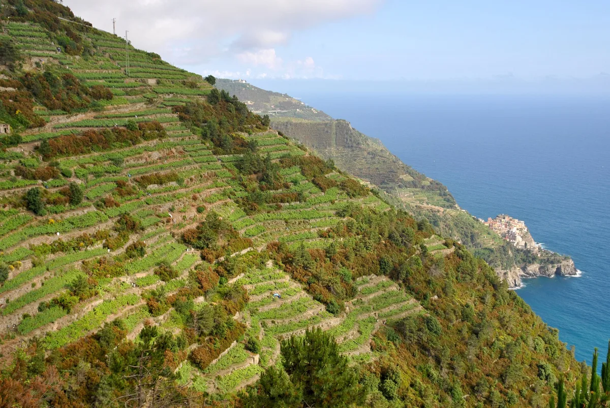 I migliori trekking vicino a Portofino: un'avventura nella bellezza della Liguria