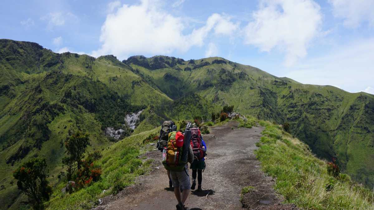 I migliori trekking vicino a Bordighera: natura e avventura in Liguria