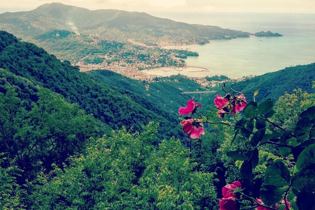 Vista panoramica da Montallegro con Rapallo sullo sfondo