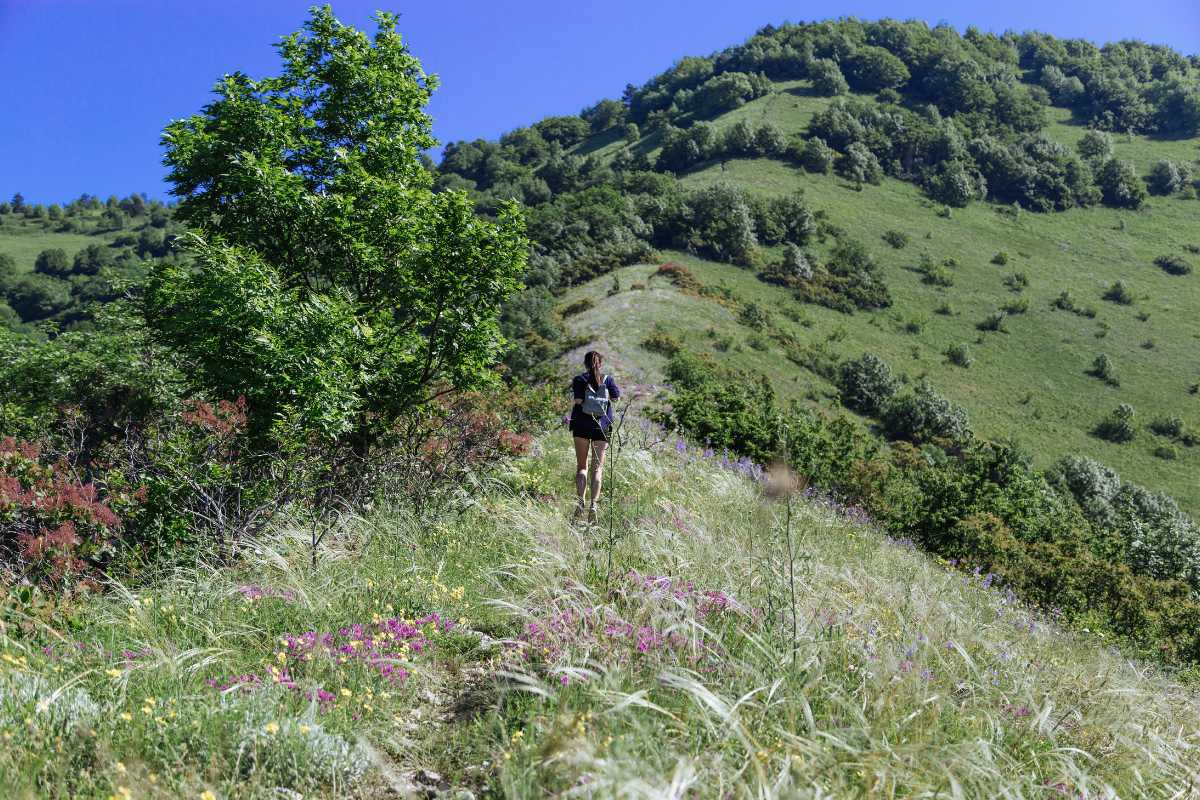 Famiglia in escursione nei dintorni di Savona, bambini che esplorano la natura