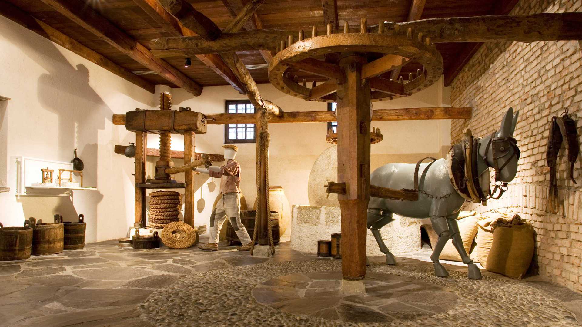 Interno del Museo dell'Olio a Imperia con esposizione di bottiglie e attrezzature