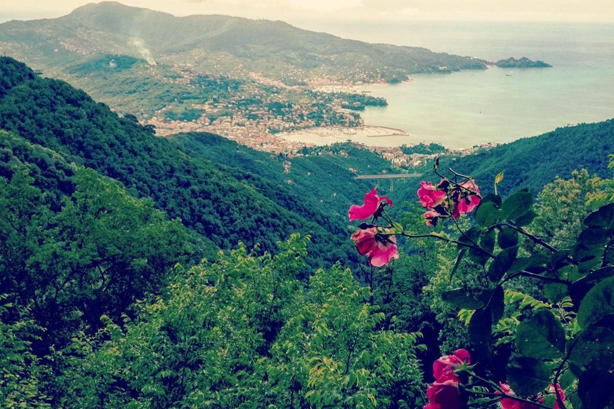 Panorama dal Santuario di Montallegro che si raggiunge con la funivia